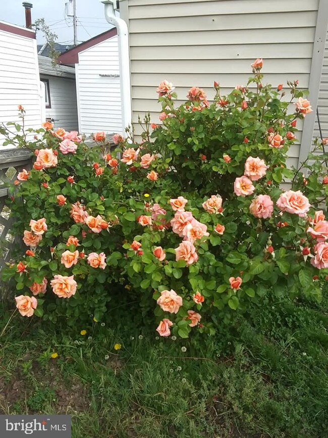 13 Lake Huron Dr, Little Egg Harbor Township, NJ 08087 - photo 6