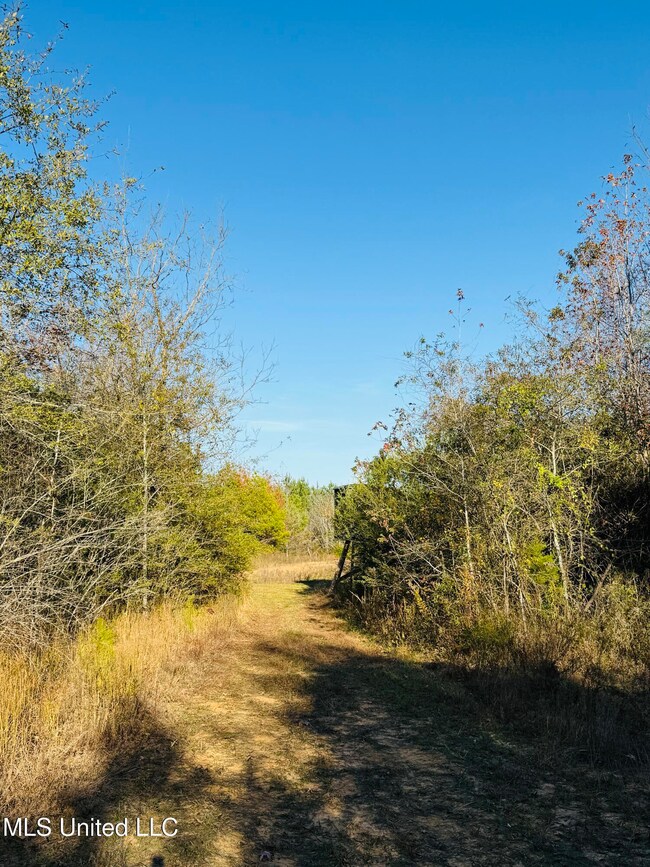 0 County Road 4210, Sallis, MS 39160 - photo 7