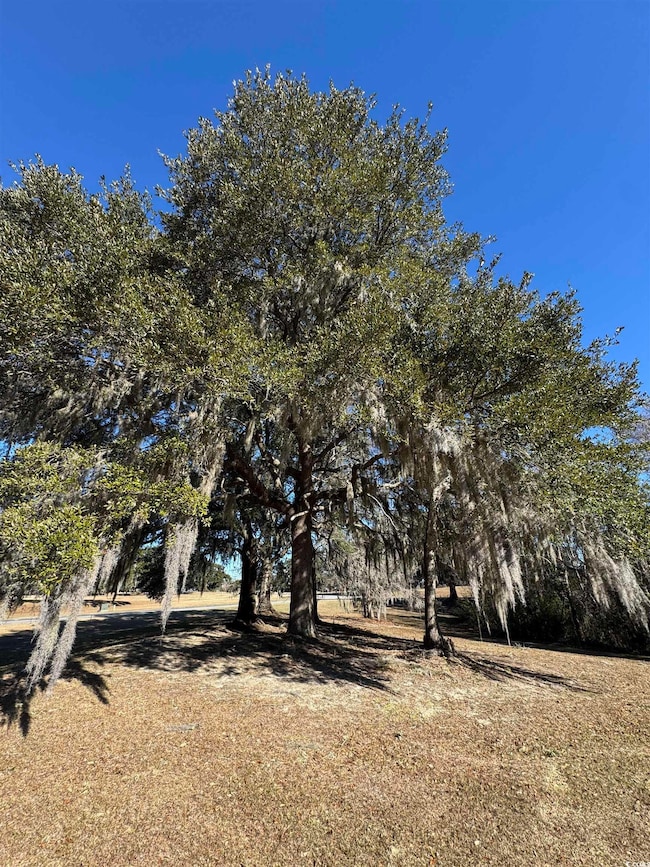 437 Rosebank Rd unit Lot 108, Georgetown, SC 29440 - photo 3