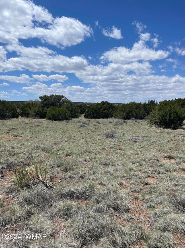 18 Pate Ln, Concho, AZ 85924 - photo 3