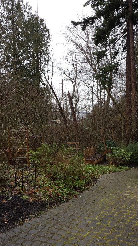 1228 Mukilteo Speedway, Mukilteo, WA 98275 - photo 6