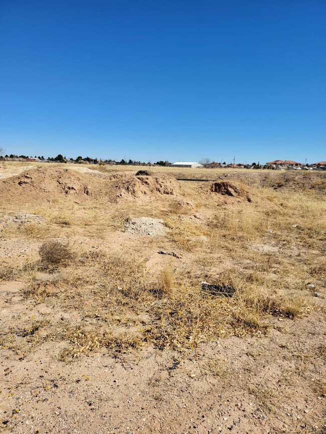 PHOTO-2022-03-16-16-38-12 (3)