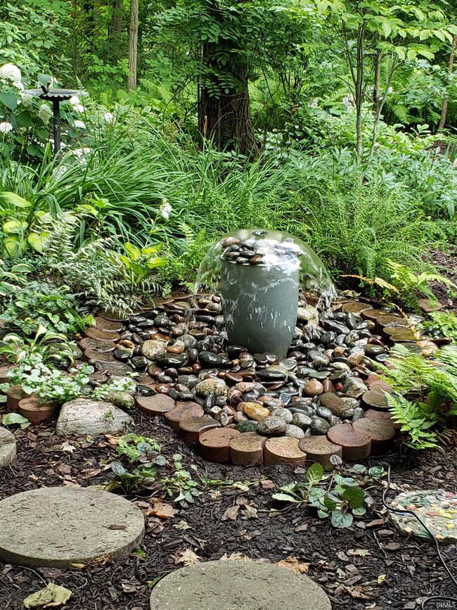 Pictures of the backyard in the Spring & Summer