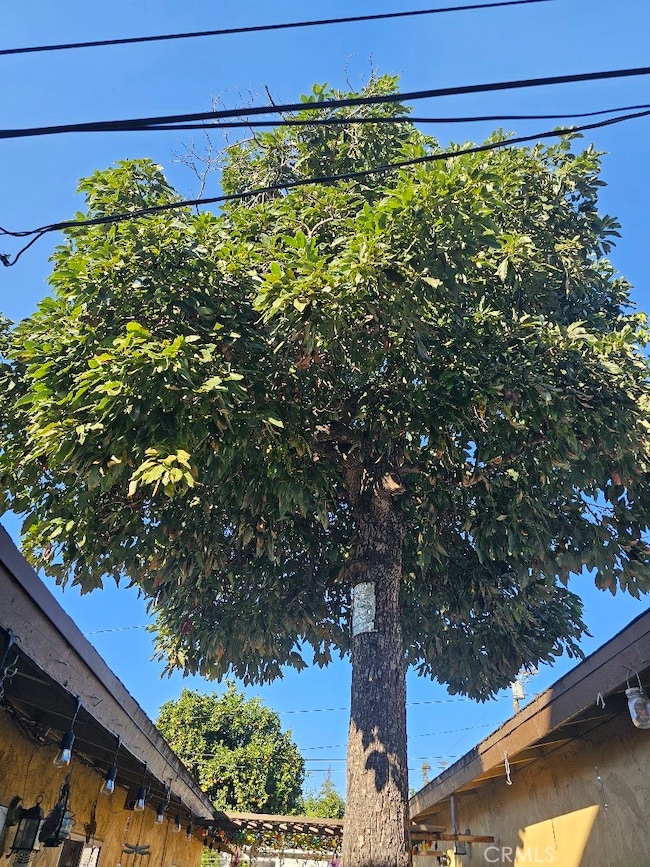 6330 Pierce Ave, Whittier, CA 90601 - photo 7