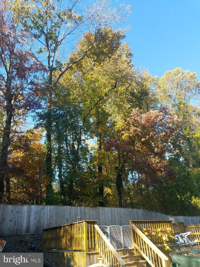 1538 Star Pine Dr, Annapolis, MD 21409 - photo 2