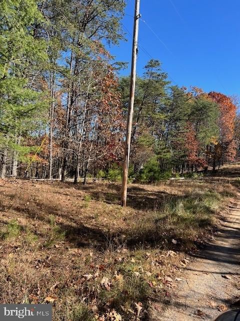 0 Runaway Ct unit WVMO2006972, Berkeley Springs, WV 25411 - photo 6