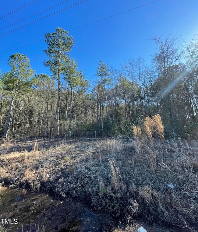 Land 2 Pic