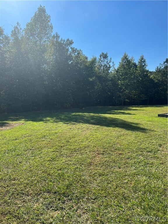 9255 Jacob Ln, Disputanta, VA 23842 - photo 6