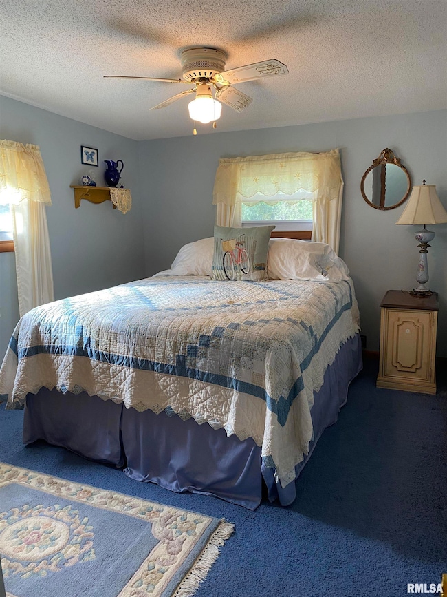 3526 Kendale Acres Rd, Tamaroa, IL 62888 - photo 6