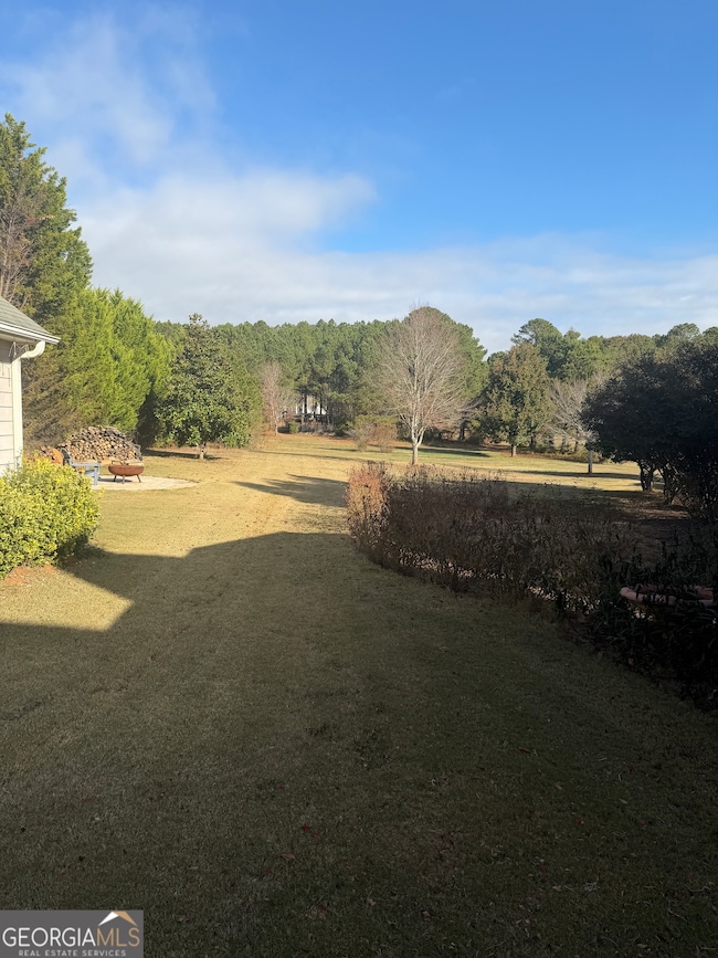 168 Elders Mill Estates Dr, Senoia, GA 30276 - photo 4