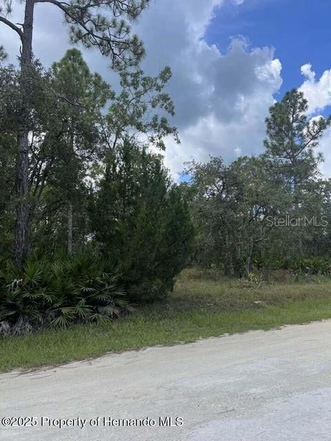 00 Ramsey Rd, Weeki Wachee, FL 34614 - photo 4