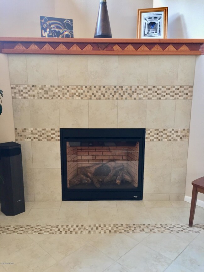 1453 Coyote Fireplace2