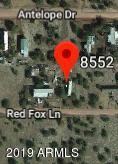8552 Red Fox Photo