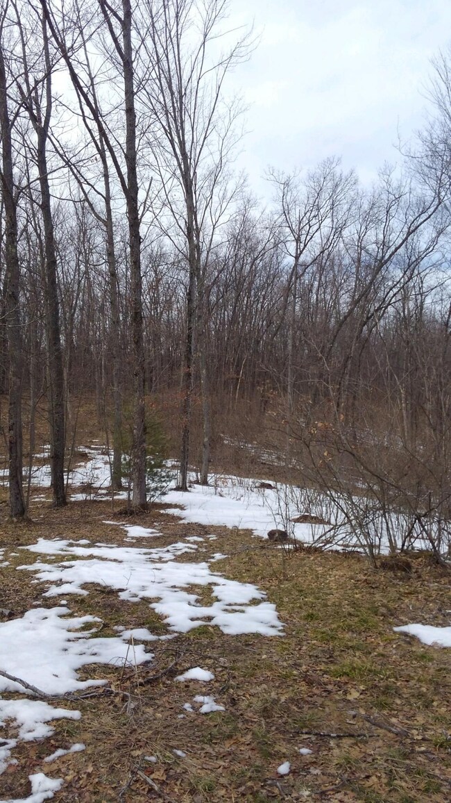 3180 Tice Trail, Lincoln Township, MI 48625 - photo 4