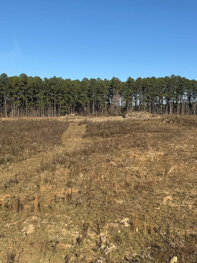 Hwy 397 S, Louisville, MS 39339 - photo 7