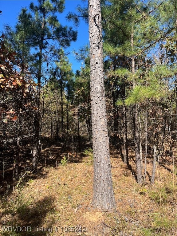 TBD S Booth Ave, Wister, OK 74966 - photo 5