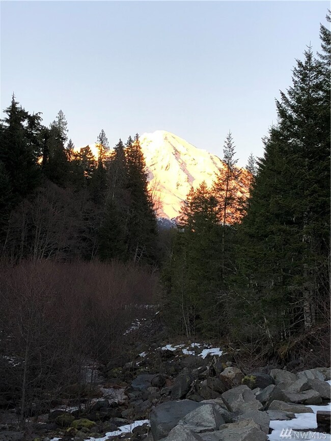 0 Pine Creek Rd unit 1745044, Bickleton, WA 99322 - photo 4