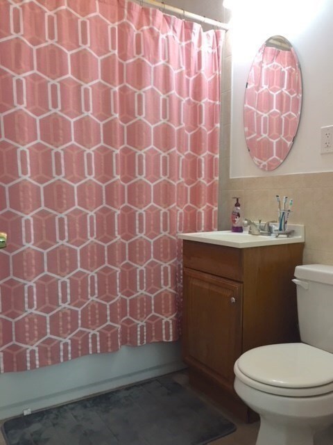 106 Pine St unit 3, Cambridge, MA 02139 - photo 7