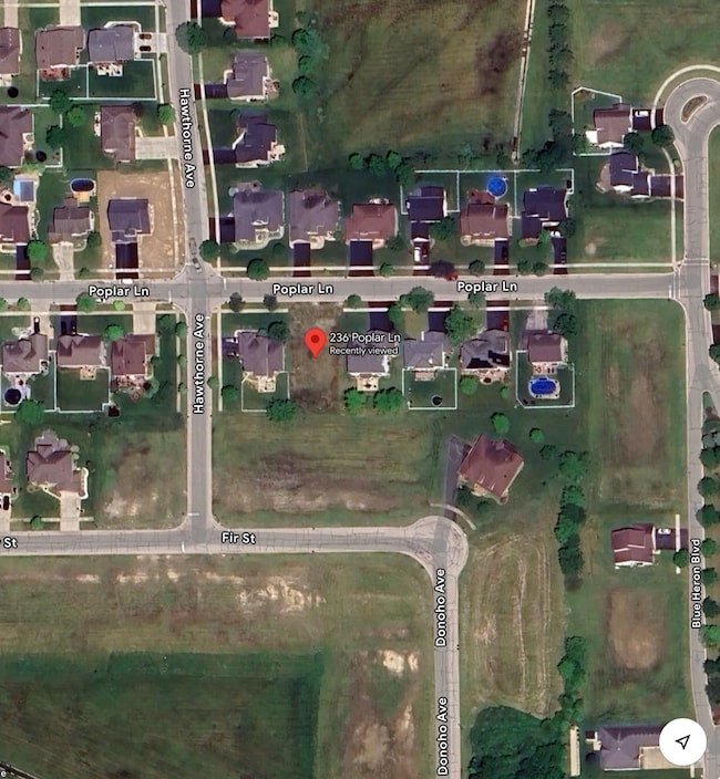 236 Poplar Ln, Beecher, IL 60401 - photo 2