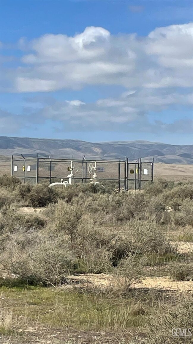 0 Waterflood Rd unit 202502197, Lost Hills, CA 93249 - photo 3