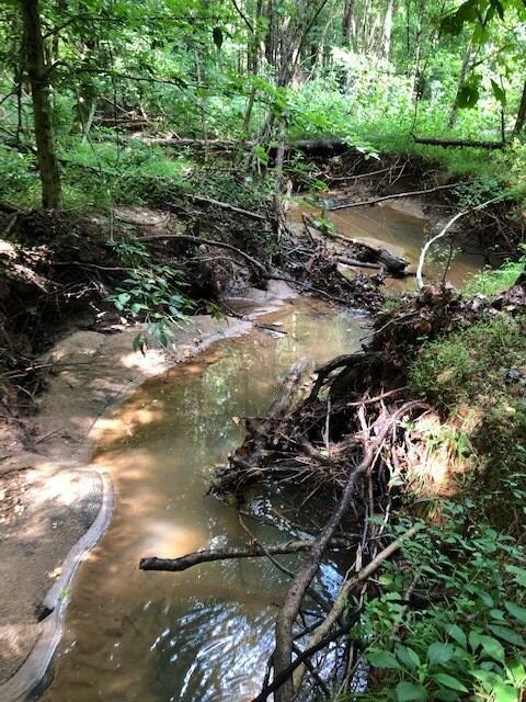 Creek