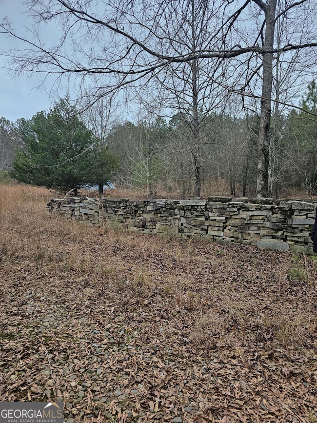 730 Osley Mill Rd, Carlton, GA 30627 - photo 5