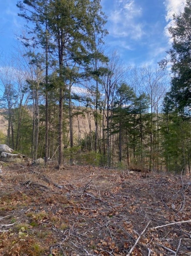 15-12-10-13 Jacob Hall Farm Rd, Rumney, NH 03266 - photo 5