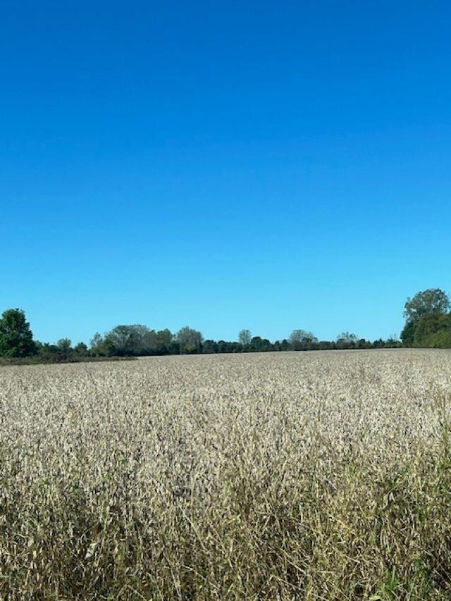 VL Bay Rd unit Parcel A, Saginaw, MI 48604 - photo 4