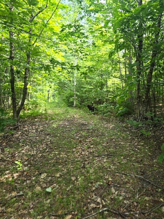 0 Ackley Pond Rd unit 5 24266409, Mount Chase, ME 04765 - photo 2