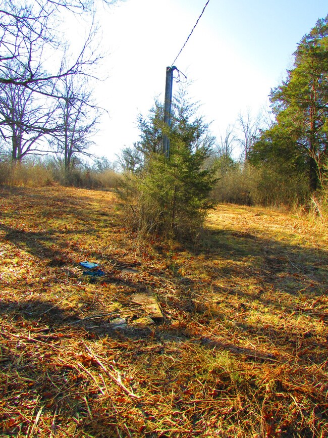 0 Mapleash Ave unit RTC2226655, Columbia, TN 38401 - photo 7