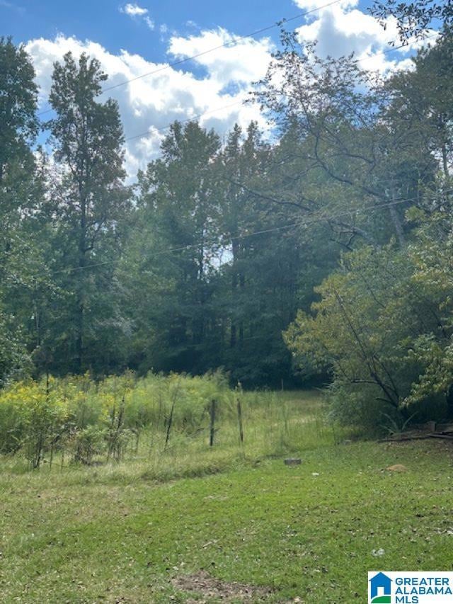 2227 Harris Wright Dr, Birmingham, AL 35242 - photo 7