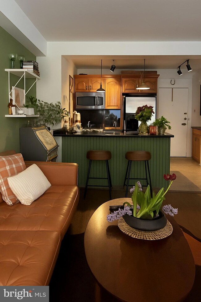 Potomac Plaza Terraces unit 216, Washington, DC 20037 - photo 3