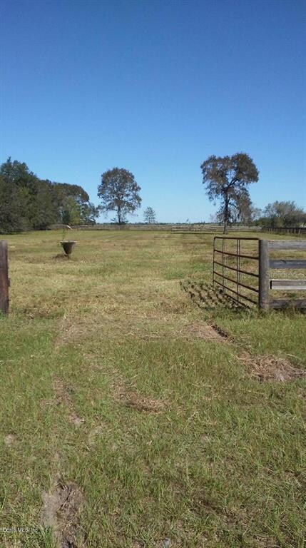 20991 SE 80th St, Morriston, FL 32668 - photo 6