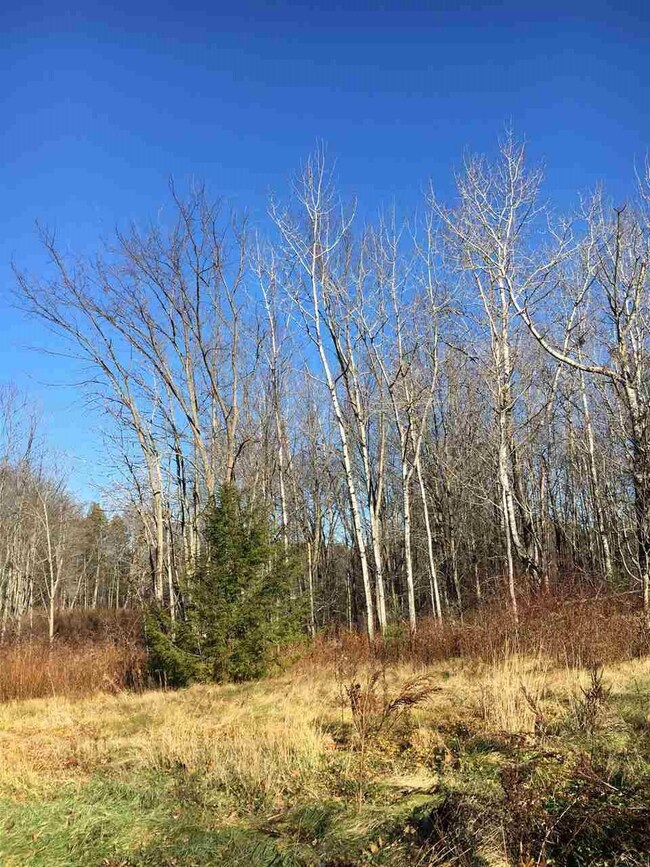 1114 Salmon Falls Rd, Rochester, NH 03868 - photo 2