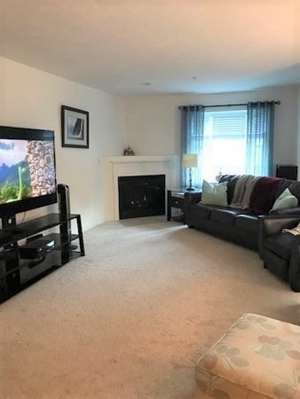 1004 Old Bridge Ln unit 1004, Bellingham, MA 02019 - photo 3