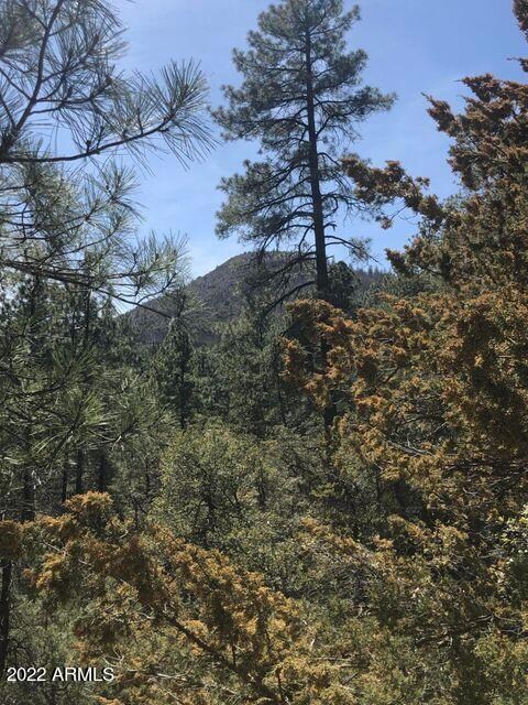 Parcel 1 N Pine Hollow Trail unit 2, Pine, AZ 85544 - photo 3