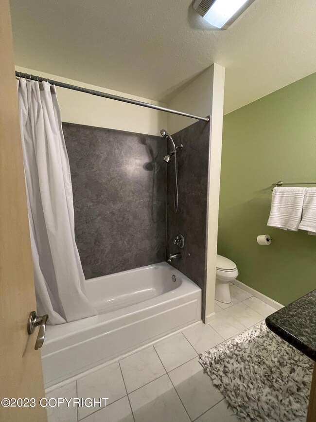 Shower 1327