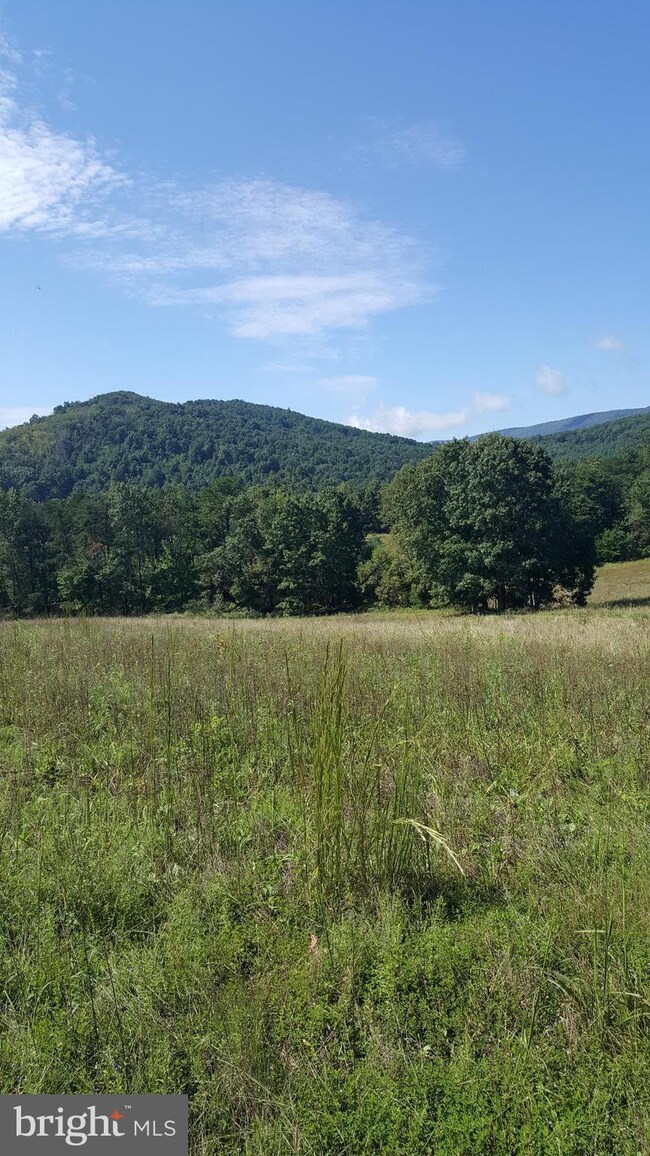 0 Dellinger Gap Rd unit 1002764866, Edinburg, VA 22824 - photo 6