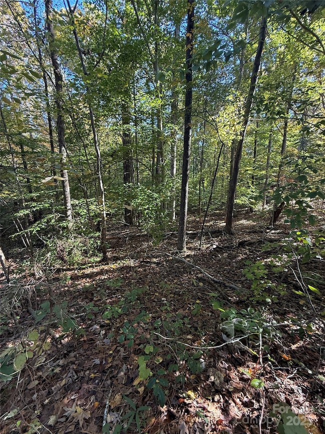 00 Southwinds Ct unit 24, Rock Hill, SC 29730 - photo 3