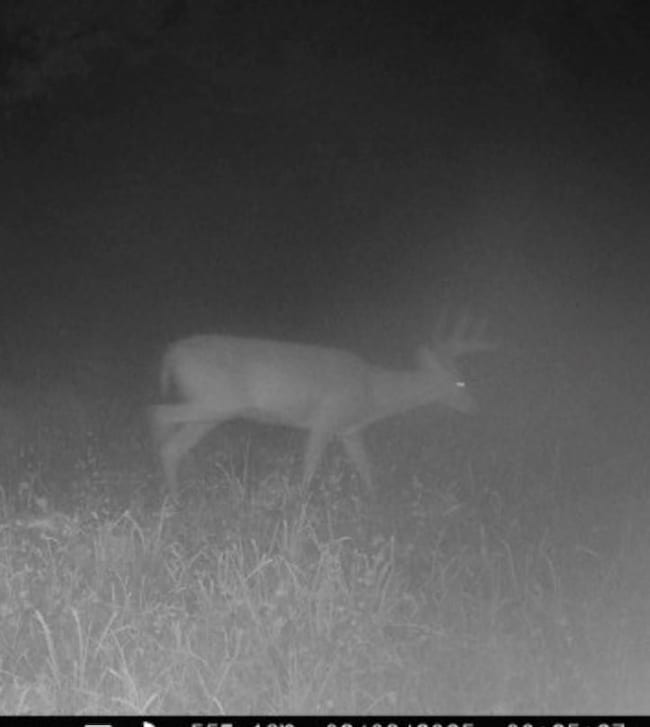 Lookout Trail, Kirksville, MO 63501 - photo 6