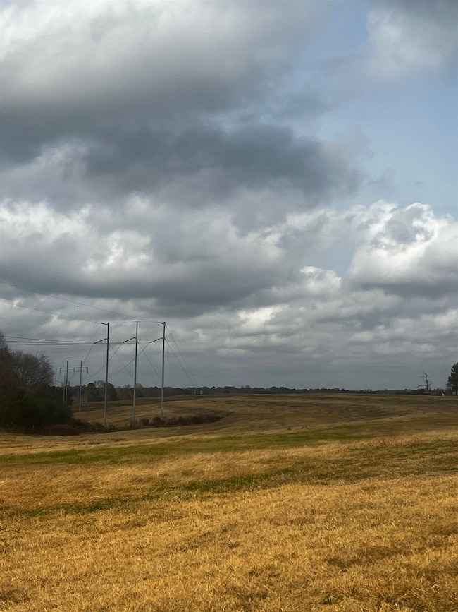 00 County Road 77, Arley, AL 35541 - photo 2