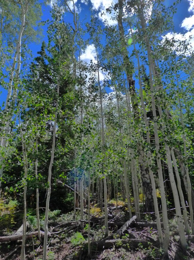 266 Snow Shoe Dr unit Lot6,BLK C,SkiHavenC, Brian Head, UT 84719 - photo 4