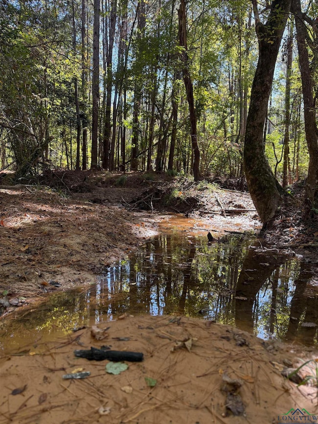 781 Sand Country Rd, Jefferson, TX 75657 - photo 5