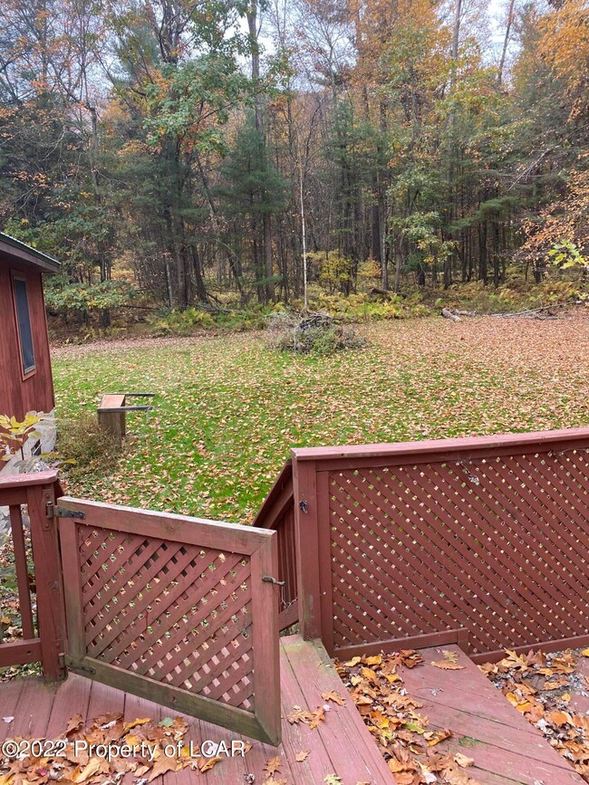 newhart pic 6