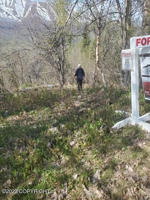 Great place for driveway