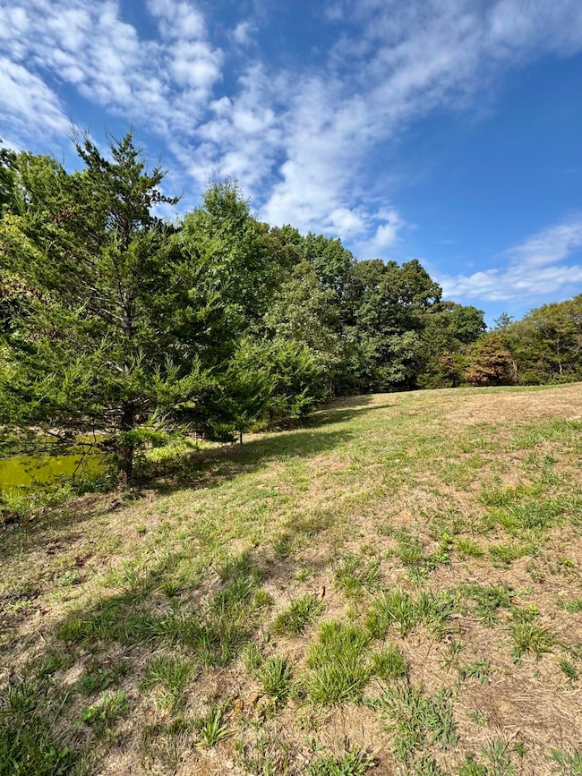 27200 Falcon Way, Wooldridge, MO 65287 - photo 2