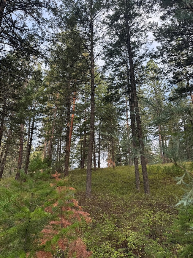 Nhn Rocky Point Rd, Polson, MT 59860 - photo 2