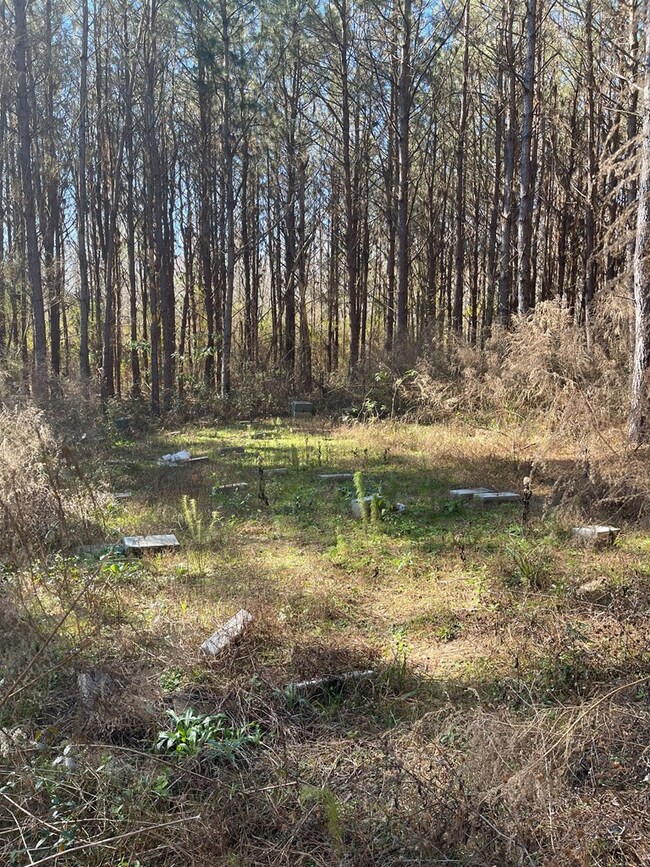 LOT 2 Cr Connerly Rd, Other, MS 39641 - photo 5