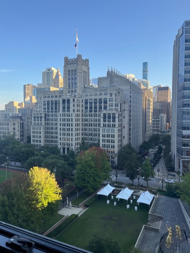 Pearson on the Park Condos unit 1406, Chicago, IL 60611 - photo 3