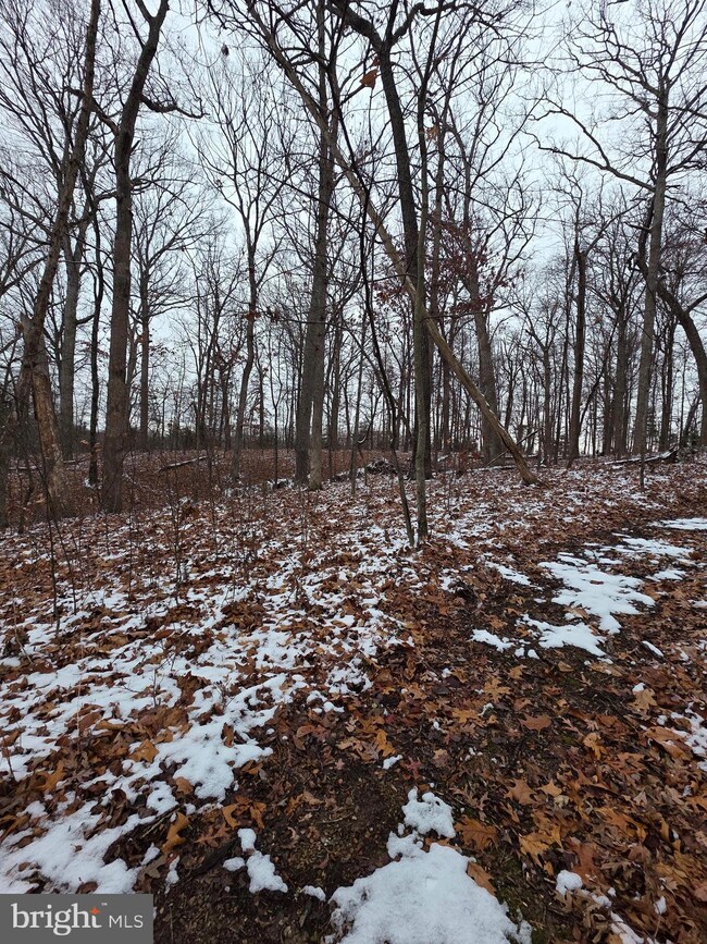 0 Huttle Rd unit VAFV2038332, Middletown, VA 22645 - photo 5